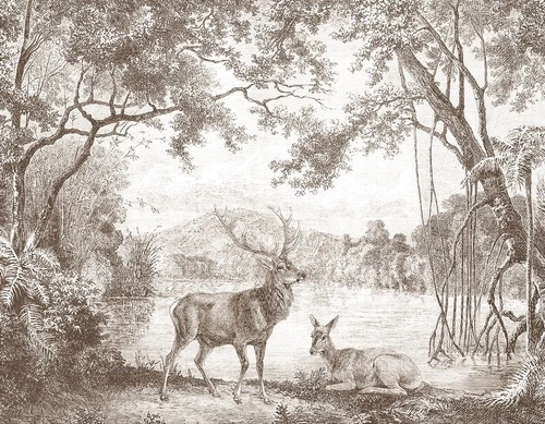 пейзаж, графика, популярные, гравюра, обои гравюра, олени, лес, коричневые