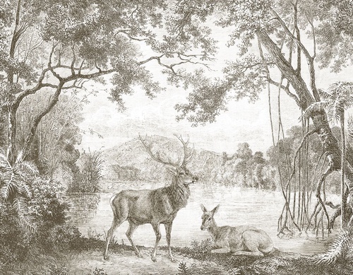 пейзаж, графика, гравюра, обои гравюра, олени, лес деревья, темные, в кабинет, в офис