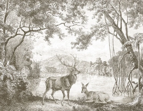 пейзаж, графика, гравюра, обои гравюра, олени, лес деревья, темные, в кабинет, в офис
