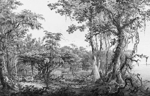 графика, пейзаж, обои гравюра, черные, стильные, красивые, современный дизайн, итальянская, необычная, уникальные, лучшие, новинки