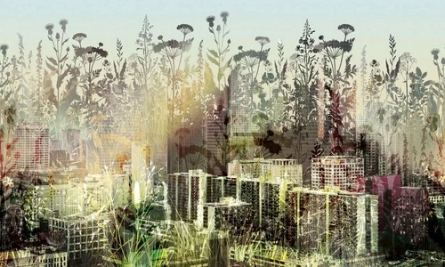 лофт, поляна, город