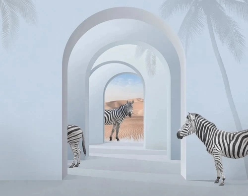 геометрия, 3Д, арки, зебра