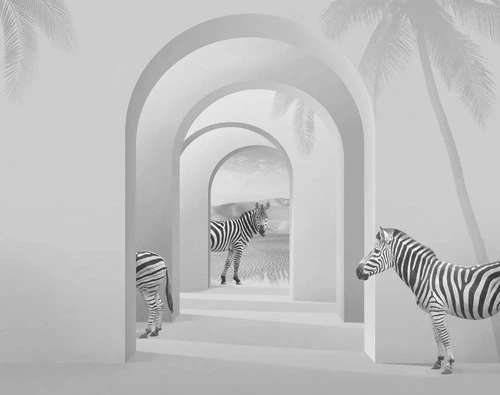 геометрия, 3Д, арки, зебра, белые
