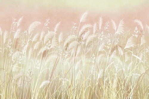 в загородный дом, поле, колосья, светло розовая, салатовая