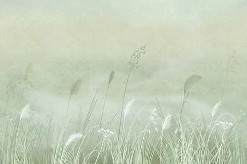 в загородный дом, поле, колосья, светло салатовая