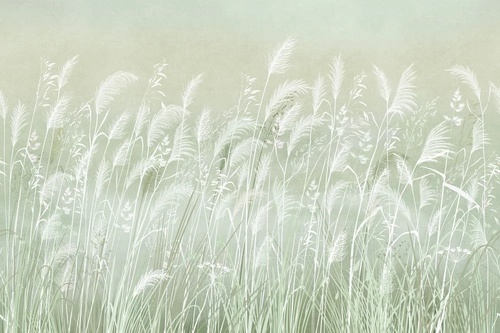 в загородный дом, поле, колосья, светло зеленая, белые