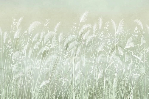 в загородный дом, поле, колосья, светло зеленая, белые