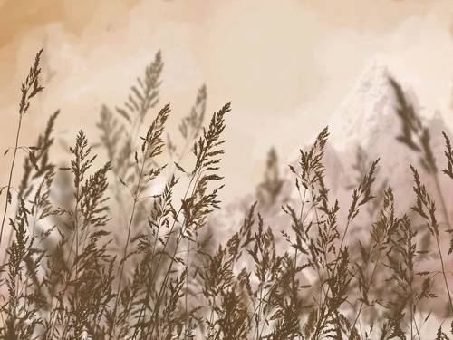 в загородный дом, поле, колосья, бежевые, графичная