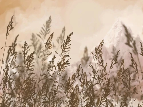 в загородный дом, поле, колосья, бежевые, графичная