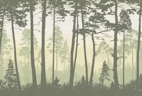 пейзаж, лес, деревья, зеленый пейзаж, стволы