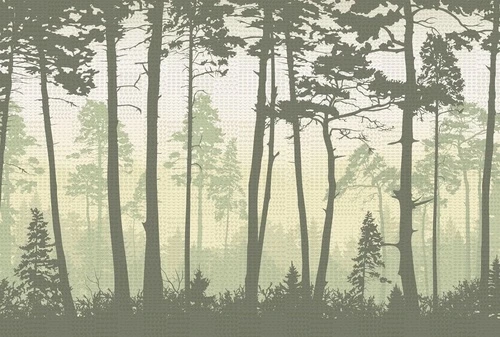 пейзаж, лес, деревья, зеленый пейзаж, стволы