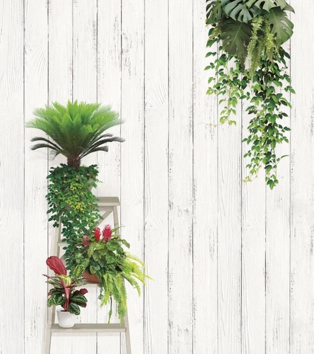 лофт, стена из досок, зеленые растения