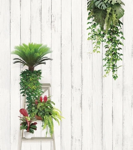 лофт, стена из досок, зеленые растения