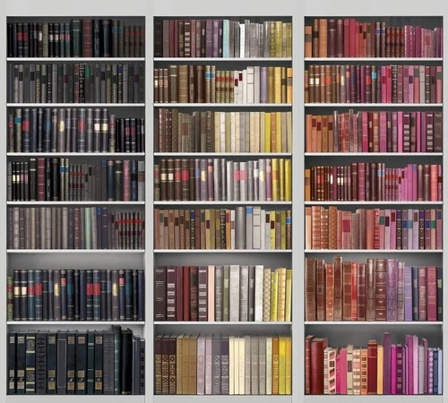 лофт, полки с книгами, синий, желтый, фуксия