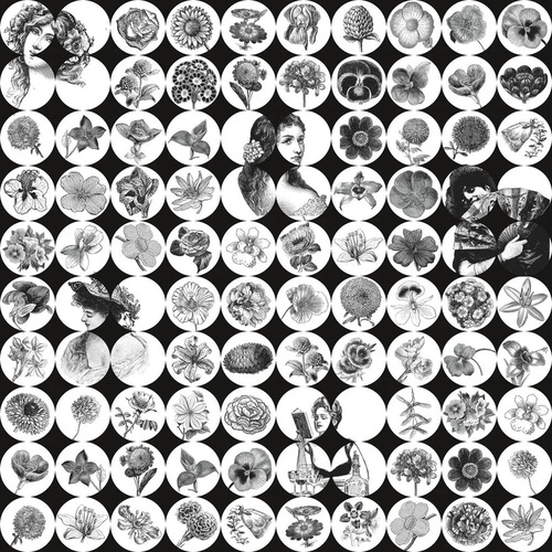 в детскую комнату, цветы, лица девушек, черно-белые