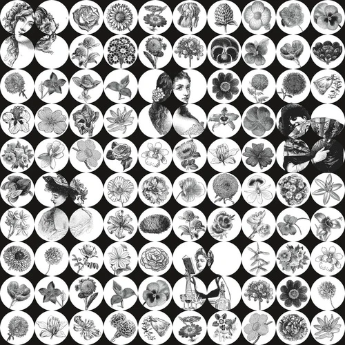 в детскую комнату, цветы, лица девушек, черно-белые