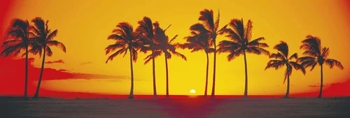 пейзаж, море, пальмы, красно-оранжевая