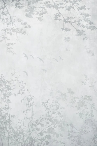 графика, ветки, травы, трава в тумане, с травой, рисунок ветки, листья ветки, с ветками деревьев