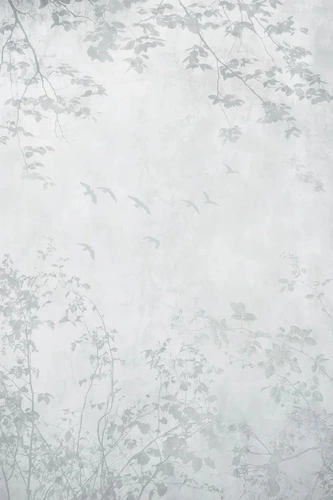 графика, ветки, травы, трава в тумане, с травой, рисунок ветки, листья ветки, с ветками деревьев