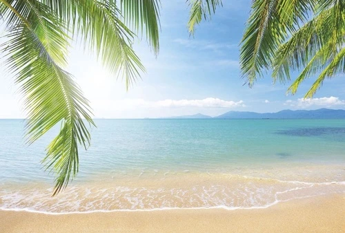 пейзаж, морской, море, песчаный берег, листья пальмы, солнечная, пляж