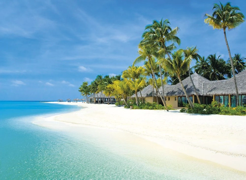 пейзаж, морской, море, остров, пальмы