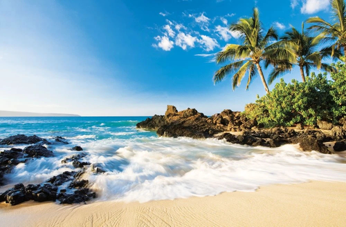 пейзаж, морской, море, остров, пальмы, волны