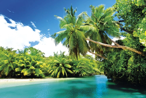 пейзаж, морской, море, пальмы, зеленая