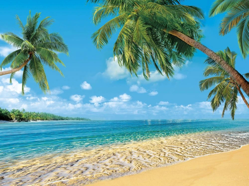 пейзаж, морской, море, небо, пальмы, песок, синий