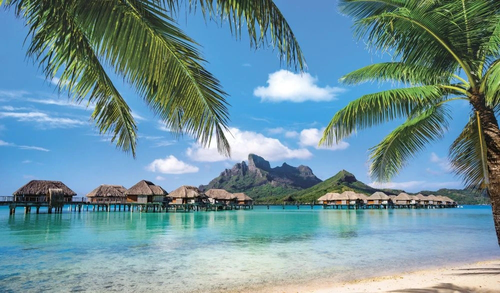 пейзаж, морской, море, бирюзовая, листья пальмы