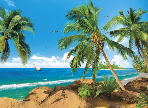 пейзаж, морской, море, пальмы, синий