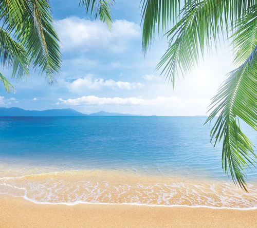 пейзаж, морской, море, песчаный берег, листья пальмы