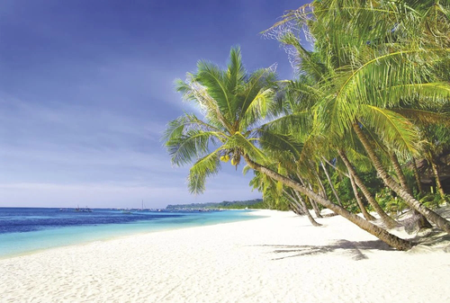 пейзаж, морской, море, пальмы, белый песок