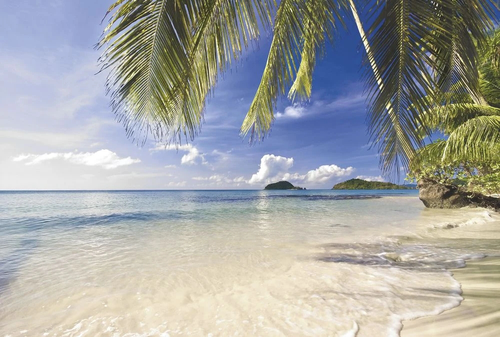 пейзаж, морской, море, листья пальмы, белый песок, острова