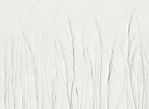 3д, графика, колосья, белые, светло серая
