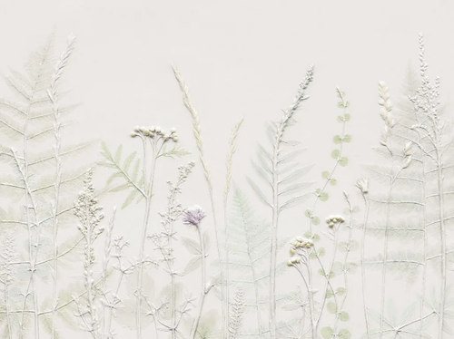 3д, графика, бежевые, трава