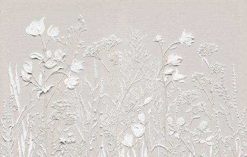 3д, графика, цветы, полевые цветы, бежевые