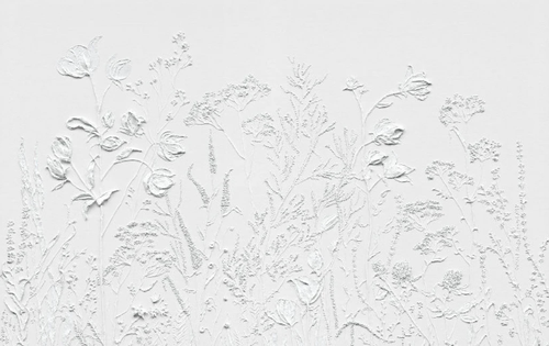 3д, графика, цветы, полевые цветы, белые, светло серая