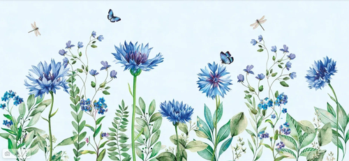 цветы, васильки, на светло голубом фоне, горизонтальные