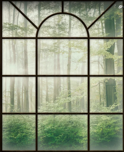 пейзаж, окно, лес, стволы деревьев