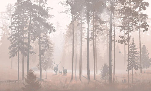 пейзаж, лес, сосны, бежевые