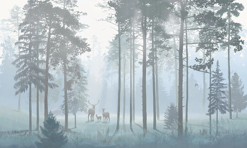 пейзаж, лес, сосны, серо-голубая