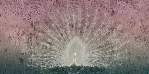 пейзаж, зелено-розовая, павлин, белый