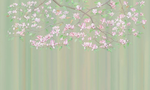 цветы, ветки, магнолия, зеленая