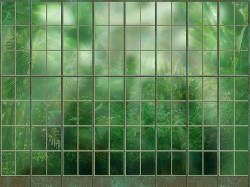 пейзаж, окно, тропики, зеленая