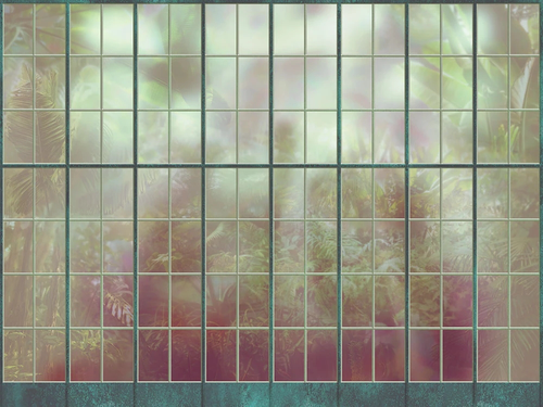 пейзаж, окно, тропики, розово-зеленая