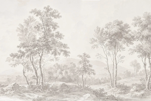 пейзаж, бежевые, лес, деревья, дерево на стену, деревья в тумане, обои деревья, лес бежевые, серый лес