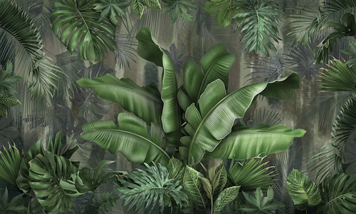 пейзаж, листья тропические, банановые, тропики, ярко зеленые