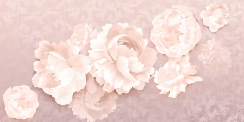 лепестки, растения, розы, цветы, пионы, листья