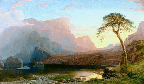 пейзаж, горы, дерево