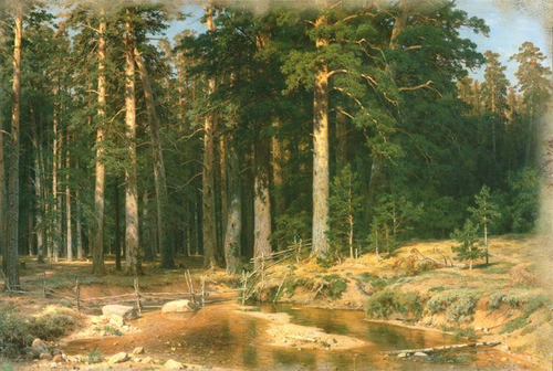 пейзаж, русский, река, сосны